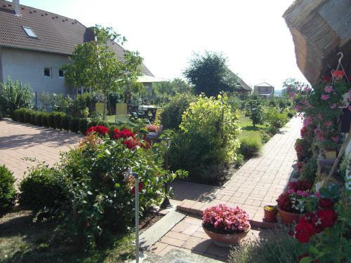 Apartamento N�dash�z