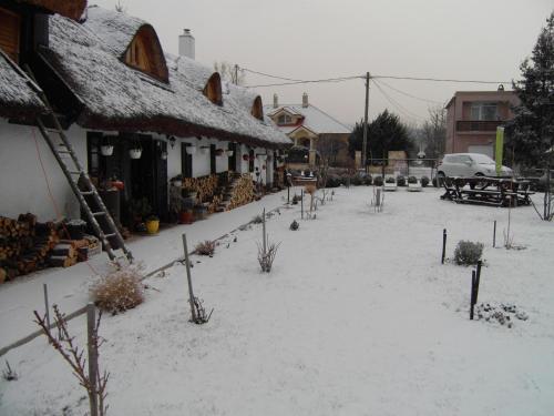 Apartamento N�dash�z