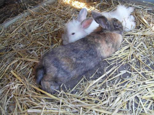 Apartamento N�dash�z