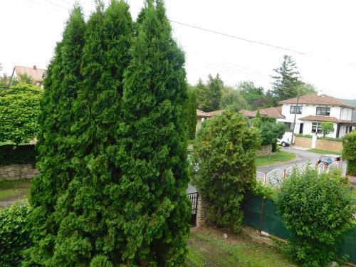 Cs&m Vend�gh�z Gyenesdi�s
