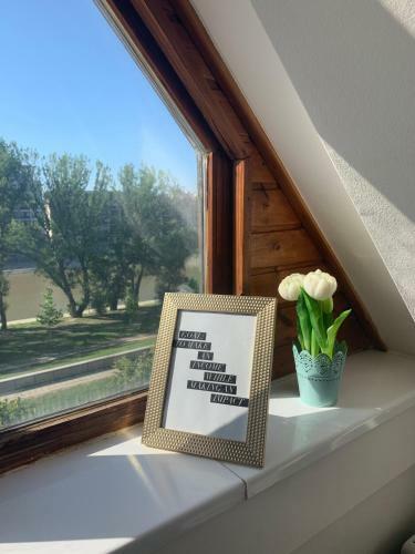 Apartamento Gem In Gy?r - Free Parking