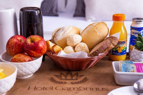 Hotel Gambrinus