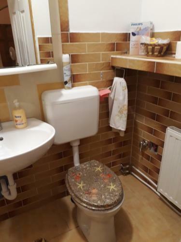 Hostal City Camping& Apartman &bungalow