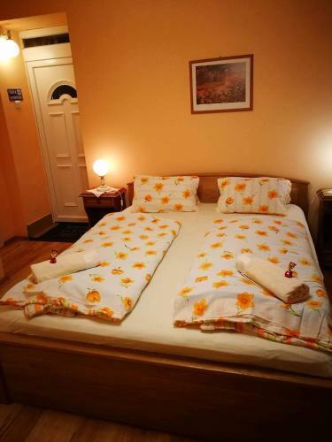 Hostal City Camping& Apartman &bungalow