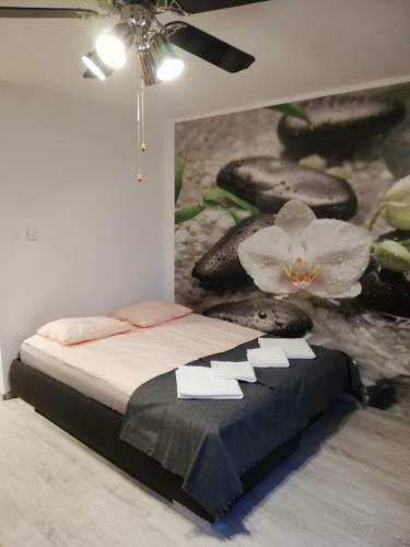 Orchidea Apartman