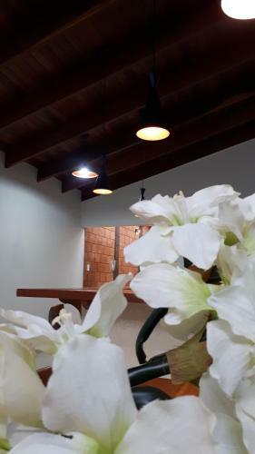 Casar�o Pireneus