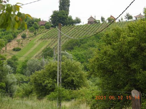 Apartamento Luku Hegyi Pihen?h�z