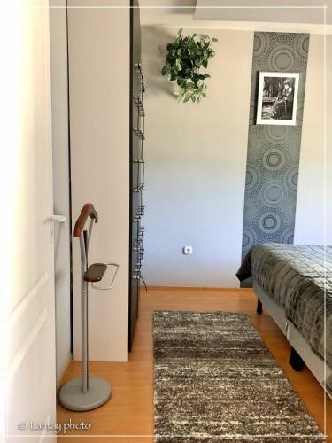 Csi - Pet Apartman
