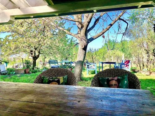 Arty House With Huge Terrace At Lake Balaton