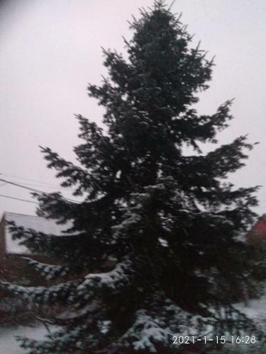 Apartamento Kemenc�s Vend�gh�z