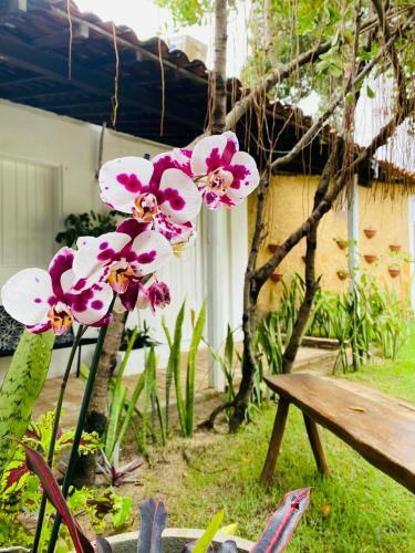 Posada Pousada Alumiar