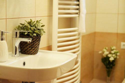 Bed & Breakfast Gyula Wellness Panzi�