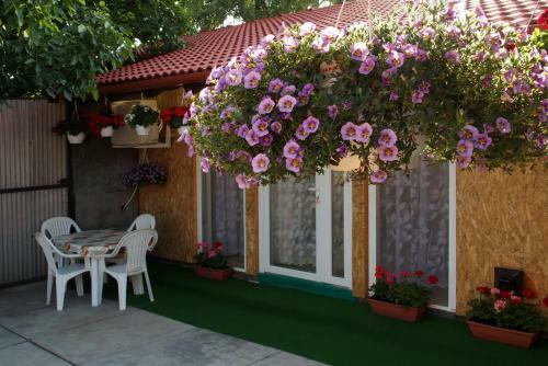 Am�lia Apartman