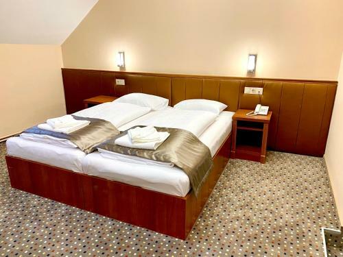 Hostal Borosty�n Panzi�