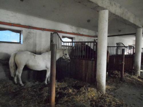 Torony Lovarda Mag�nsz�ll�s