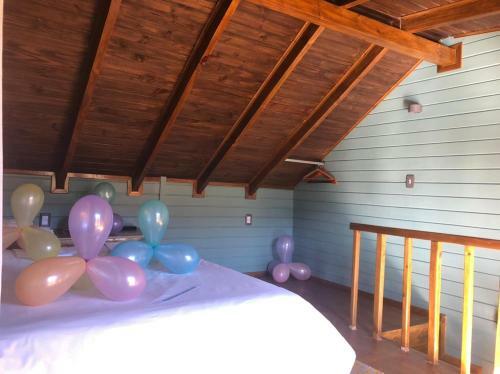 Agroturismo Tinyhousegarden - Silver Coin