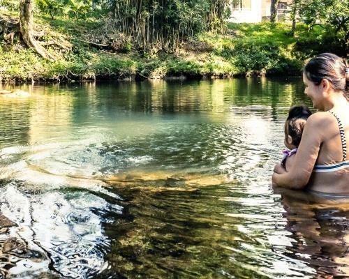 Lodge Chal� Girassol