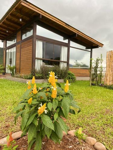 Cabana Flor De Cactos