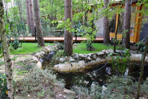 Bed & Breakfast Ambiente