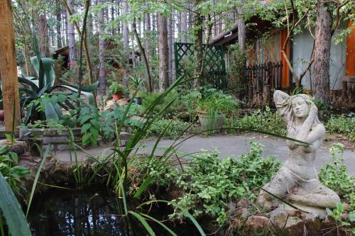 Bed & Breakfast Ambiente