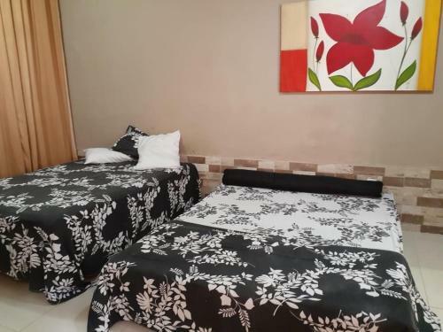 Hostal Menina Da Lua