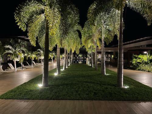 Apartamento Flat Luxuoso Em Pipa