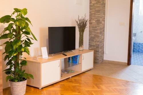 Apartmani ?eljka