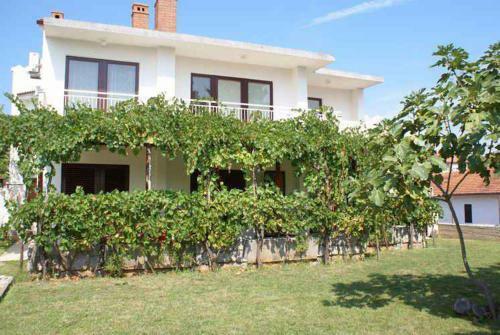 Apartments In Krk/insel Krk 14343