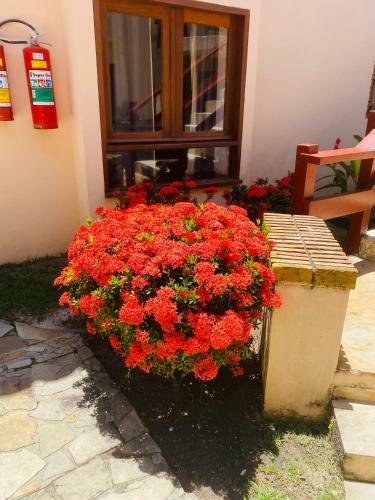 Apartamento Vamos Villa Aurora