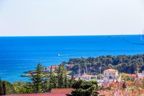 Apartman - The View