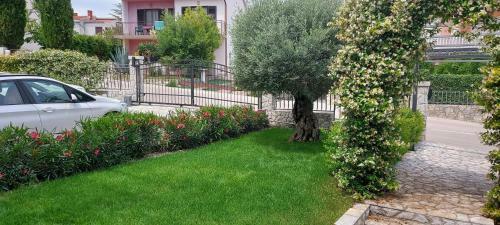 Apartmani Tomislav
