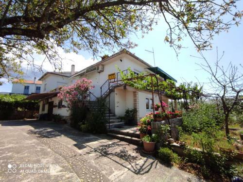 Apartments Marica