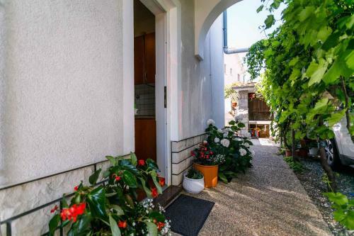 Apartments In Krk/insel Krk 38631