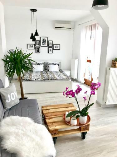 Belv�rosi St�di� Apartman
