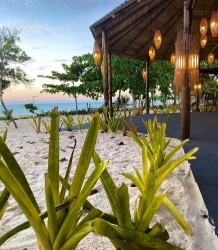 Apartamento Ondas Praia Resort