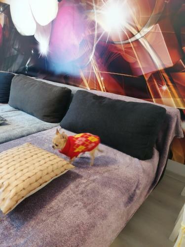 Orsi Apartman Kecskem�t