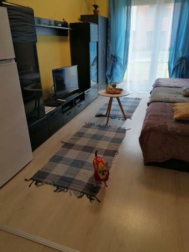 Orsi Apartman Kecskem�t