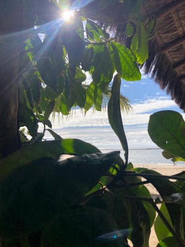 Apartamento Inteiro Com Vista Piscina - 20