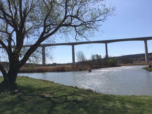 Szam�ca Vend�gh�z-k?r�shegy (Balaton)