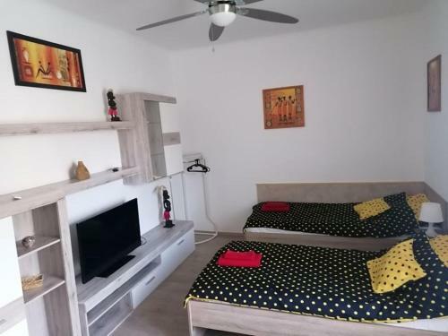 Nagy Apartman Koml�