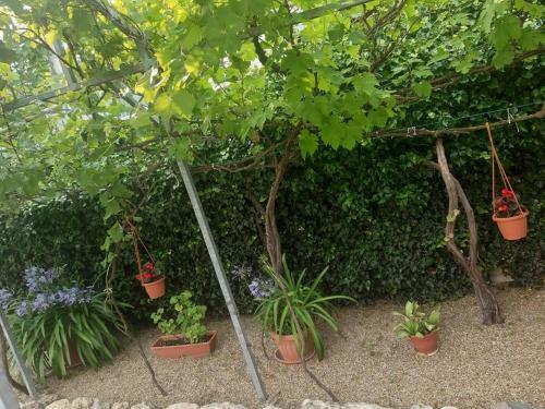 Hostal Aleksa Apartman