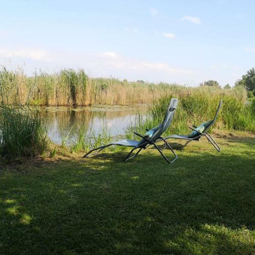 Apartamento V�zparti Tulip�n Jacuzzi Vend�gh�z