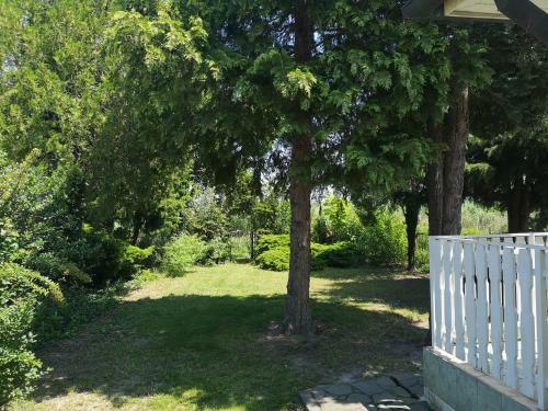 Apartamento V�zparti Tulip�n Jacuzzi Vend�gh�z