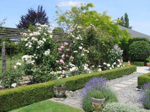Bed & Breakfast Marchmont Gardens