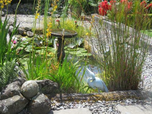 Bed & Breakfast Marchmont Gardens