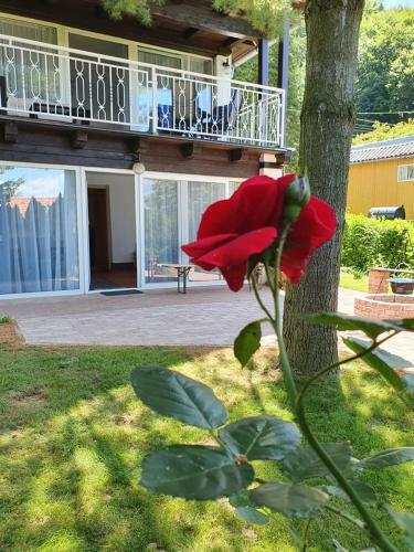 Apartamento P7-nyaral�