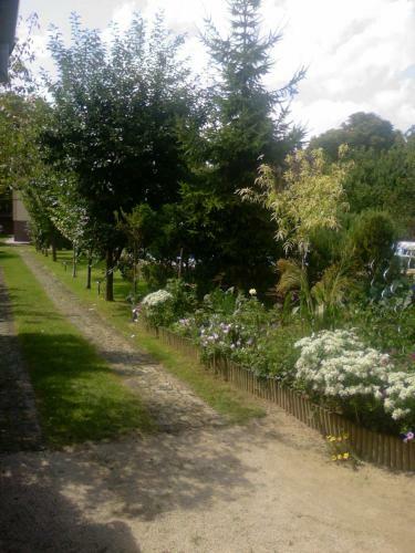 Magdalena Apartmanh�z