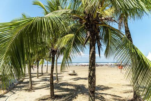 Apartamento Imperdivel Apto A 350 M Da Praia Do Forte Sp
