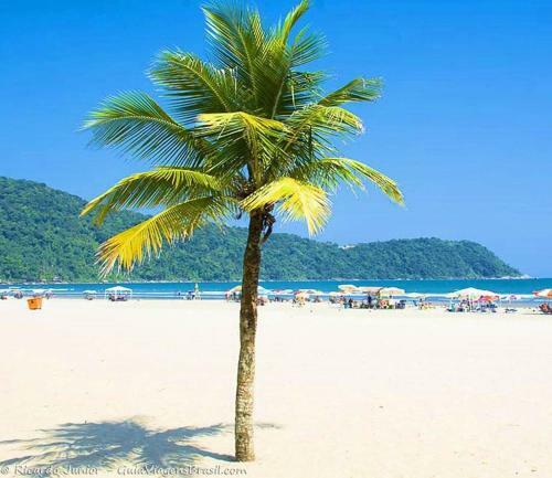Linda E Aconchegante Casa Com Piscina Perto Da Praia