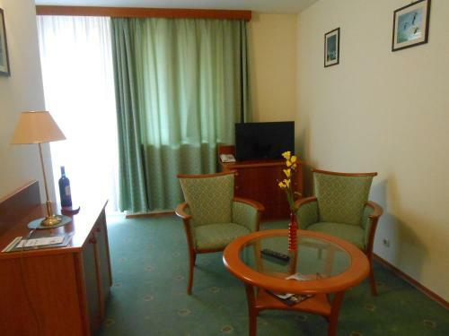 Pallace Wellness Apartment